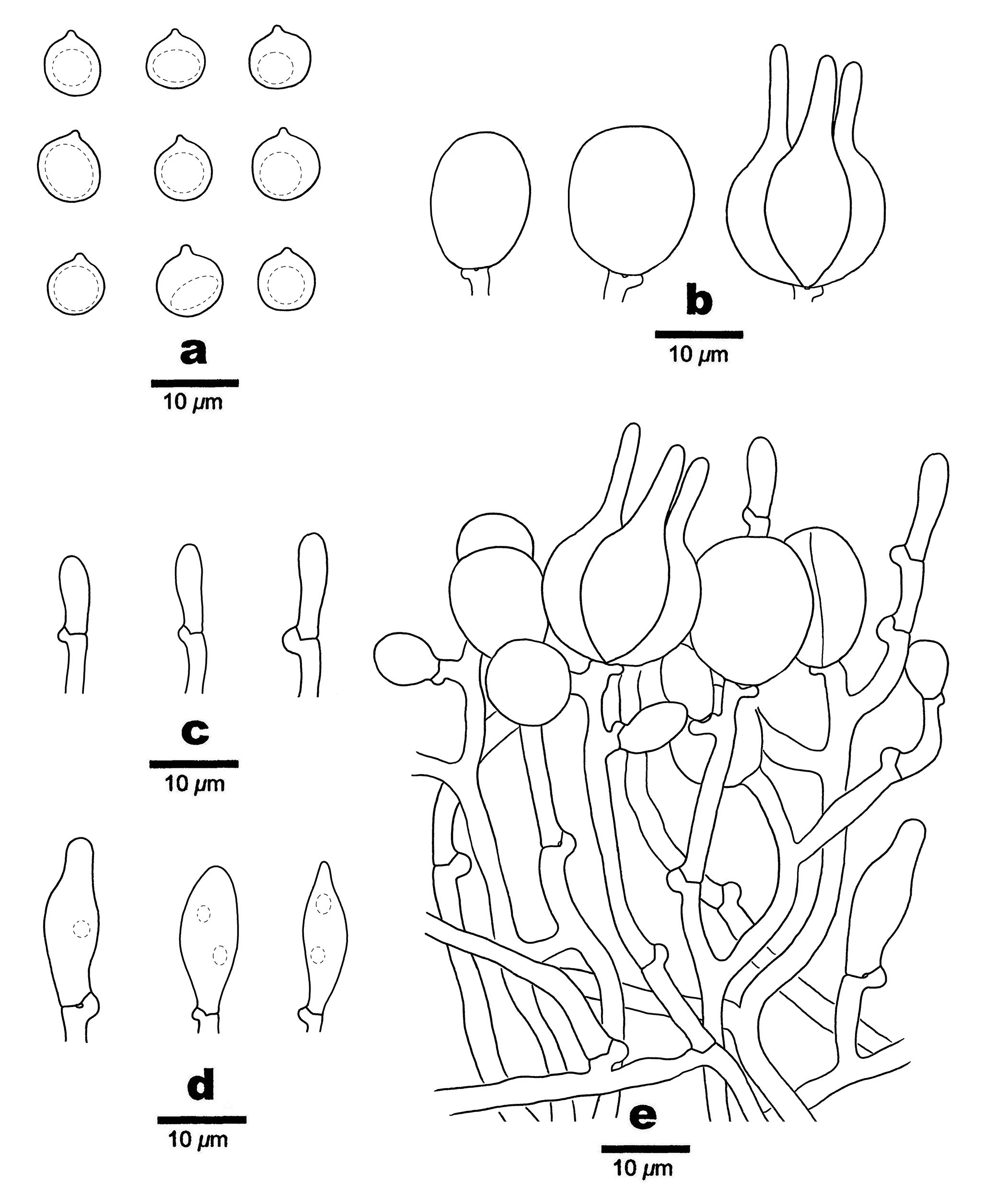 Figure 63